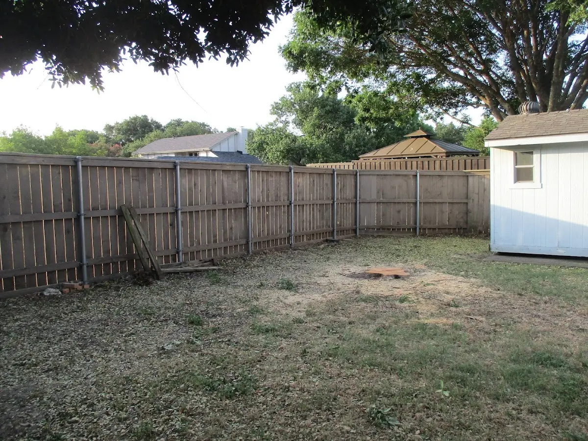 Cleared yard after professional tree removal in Clarksville