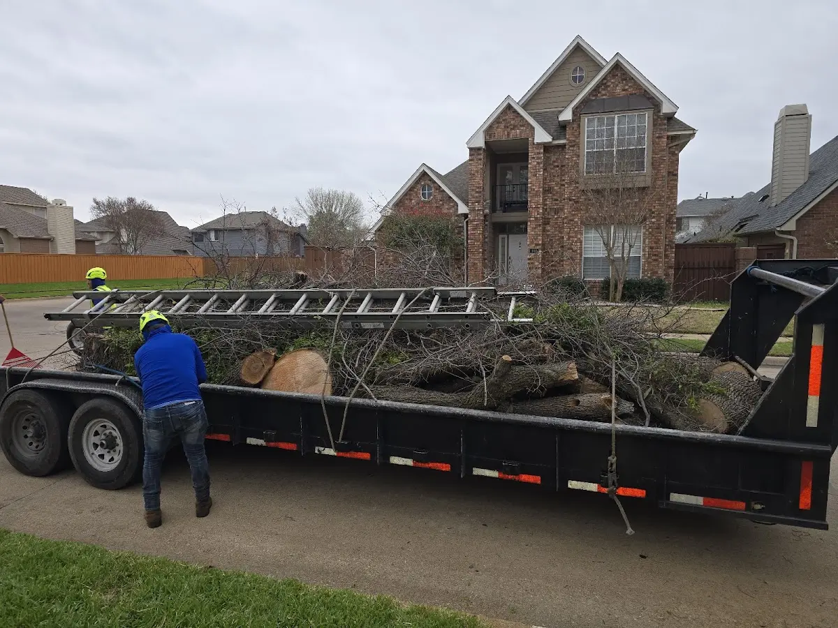 Expert Tree Pest Control with proper safety equipment in Clarksville
